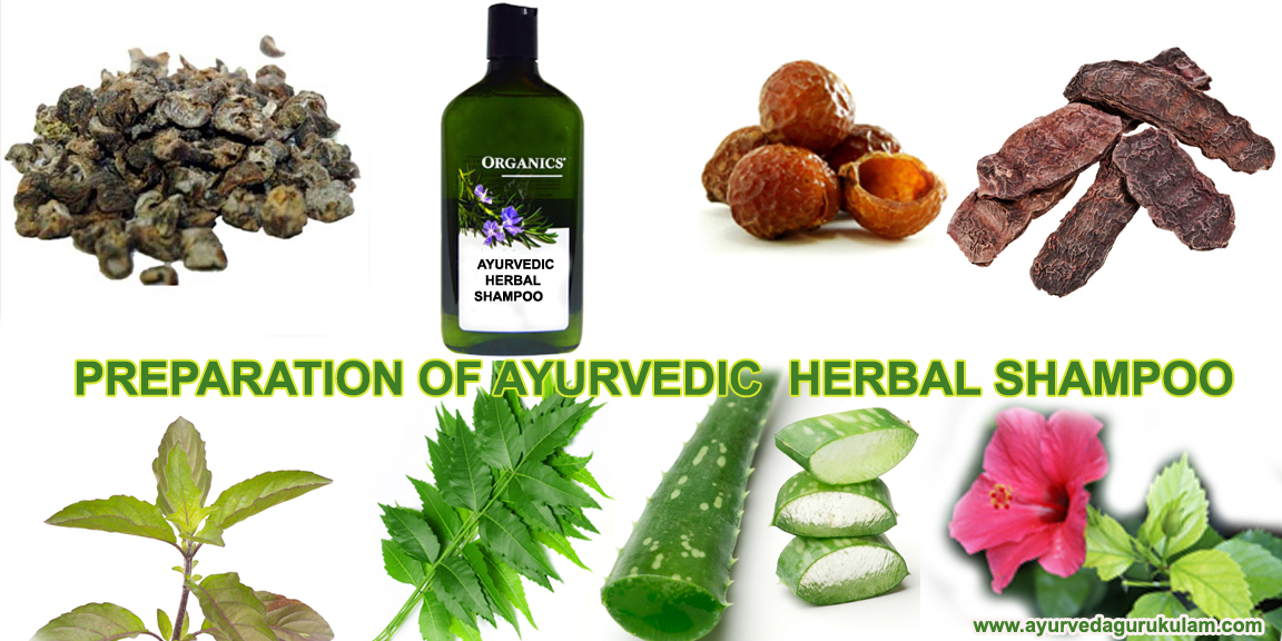 Ayurvedic Herbs Ayurvedic Herbs List  Benefits of Ayurvedic Herbs